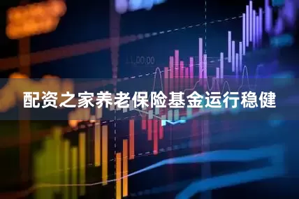 配资之家养老保险基金运行稳健